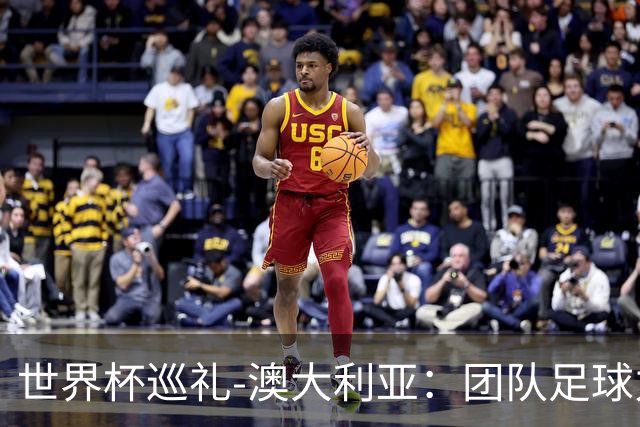 世界杯巡礼-澳大利亚：团队足球力量大，老将“外援”联手造奇迹