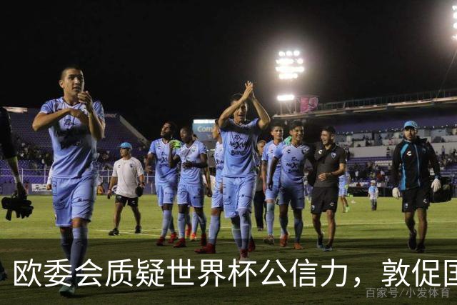 欧委会质疑世界杯公信力，敦促国际足联加强框架