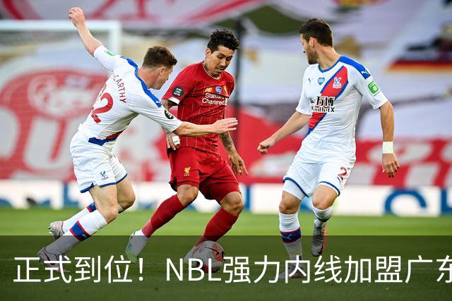 正式到位！NBL强力内线加盟广东队，这可是加强版王少杰！