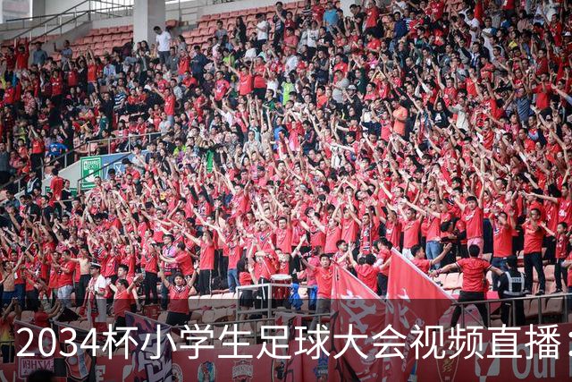 2034杯小学生足球大会视频直播：董路中国足球小将蓝队VS西藏攀峰足球俱乐部！！